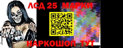 кокс Кандалакша