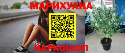 кокс Кандалакша