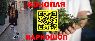 spice Кингисепп